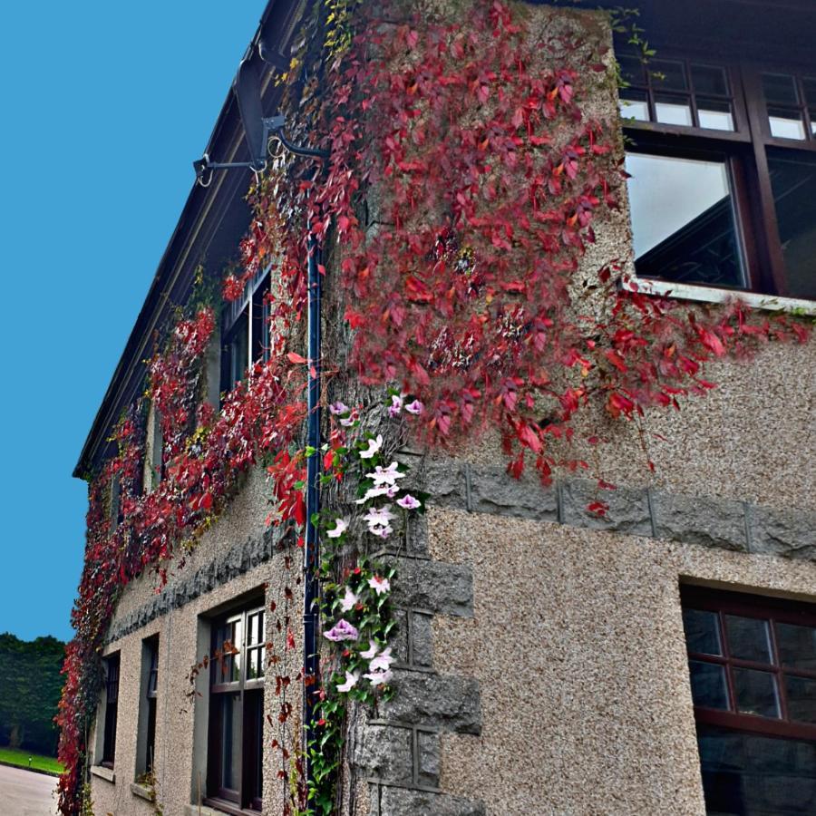 Bogenraith House Ξενοδοχείο Banchory Εξωτερικό φωτογραφία
